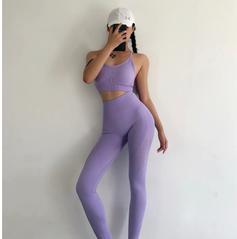 Seamless High-Waist Yoga Pants & Sports Bra Set